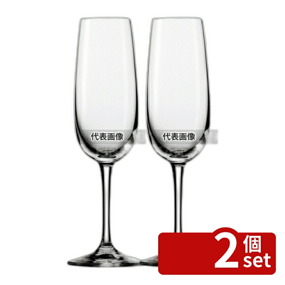 【2個セット】アイシュ ヴィノ・ノビレ シャンパン 25511070 220cc φ42×H217 グラス/酒器 No.6142750 first23-19677088 セミプロDIY店ファースト パッケージ画像
