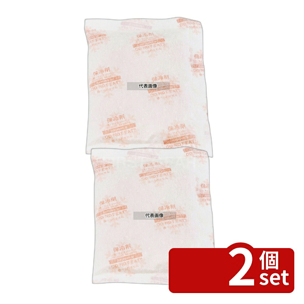 【2個セット】アイスジャパン 保冷剤 結露防止不織布フィルム 30g (600入) FRA-302...