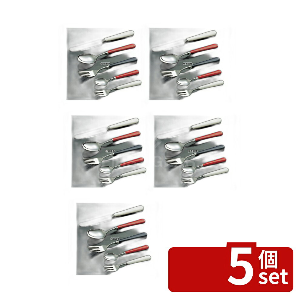 【5個セット】ステンレス #3110 フェ�