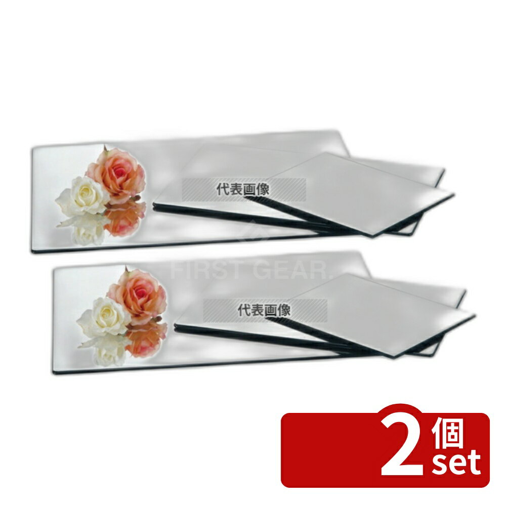 【2個セット】ブッフェステーション 長角ミラートレー M5032 (M) 500×320 500×320 トレイ No.4534100