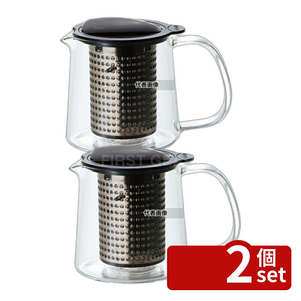 【2個セット】フィナム ティーポット 0.4L HS-223 500ml φ81×138×H105 ティーポット No.4590400