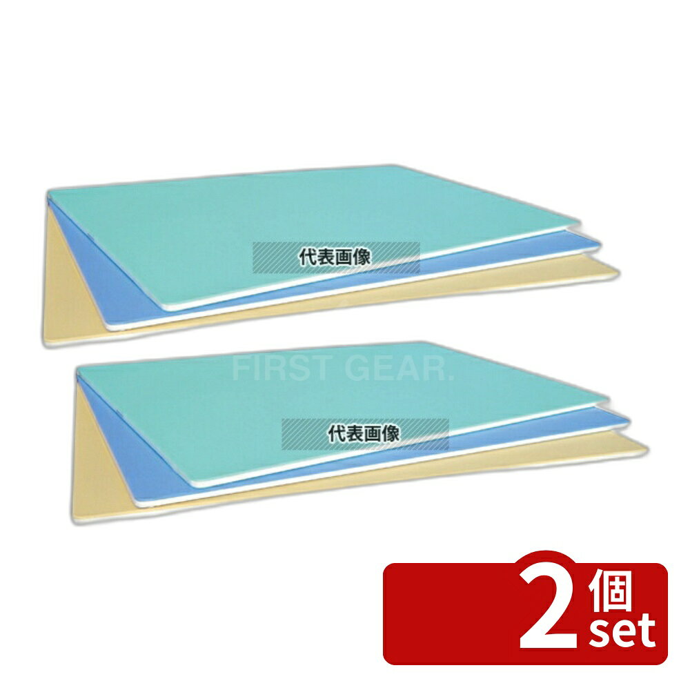 【2個セット】長谷川化学工業 抗菌カラー取り板 TCSK8-6040 ベージュ 600×400×H8 取り板 No.6815700