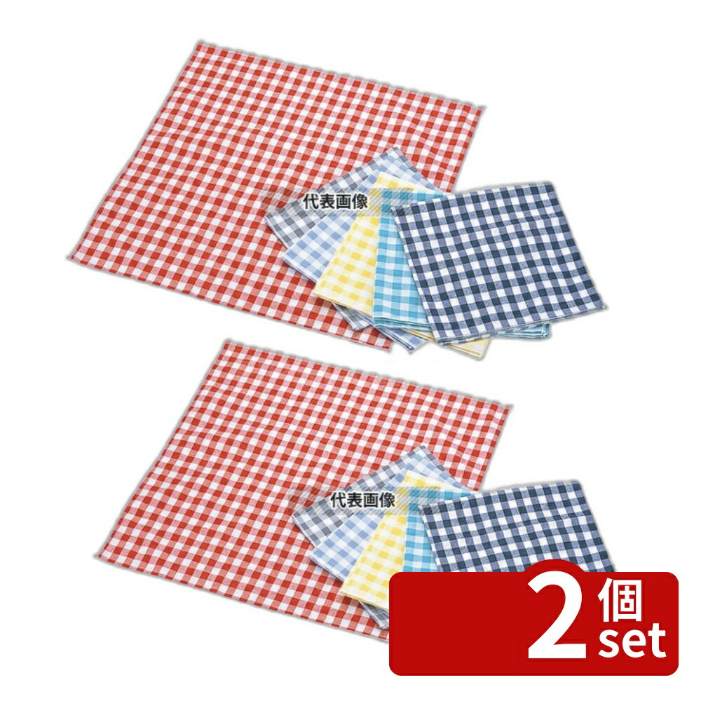 【2個セット】EBM(江部松) ギンガム チェックナプキン ブラック 450×450 450×450 No.8395250