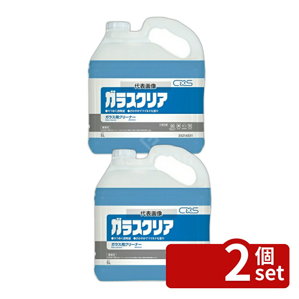 【2個セット】シーバイエス ガラスクリア 5L 5L 130×250×H290 清掃/衛生用品 No.8528820