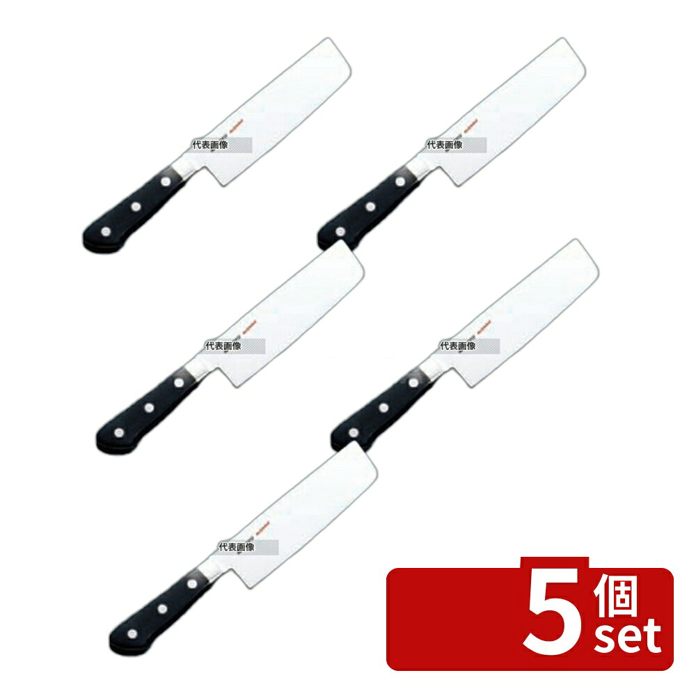 ��5�ĥ��åȡ�EBM(������) E-PRO ���֥ǥ� ���Ϸ� 16.5cm 292 ���� No.8812200