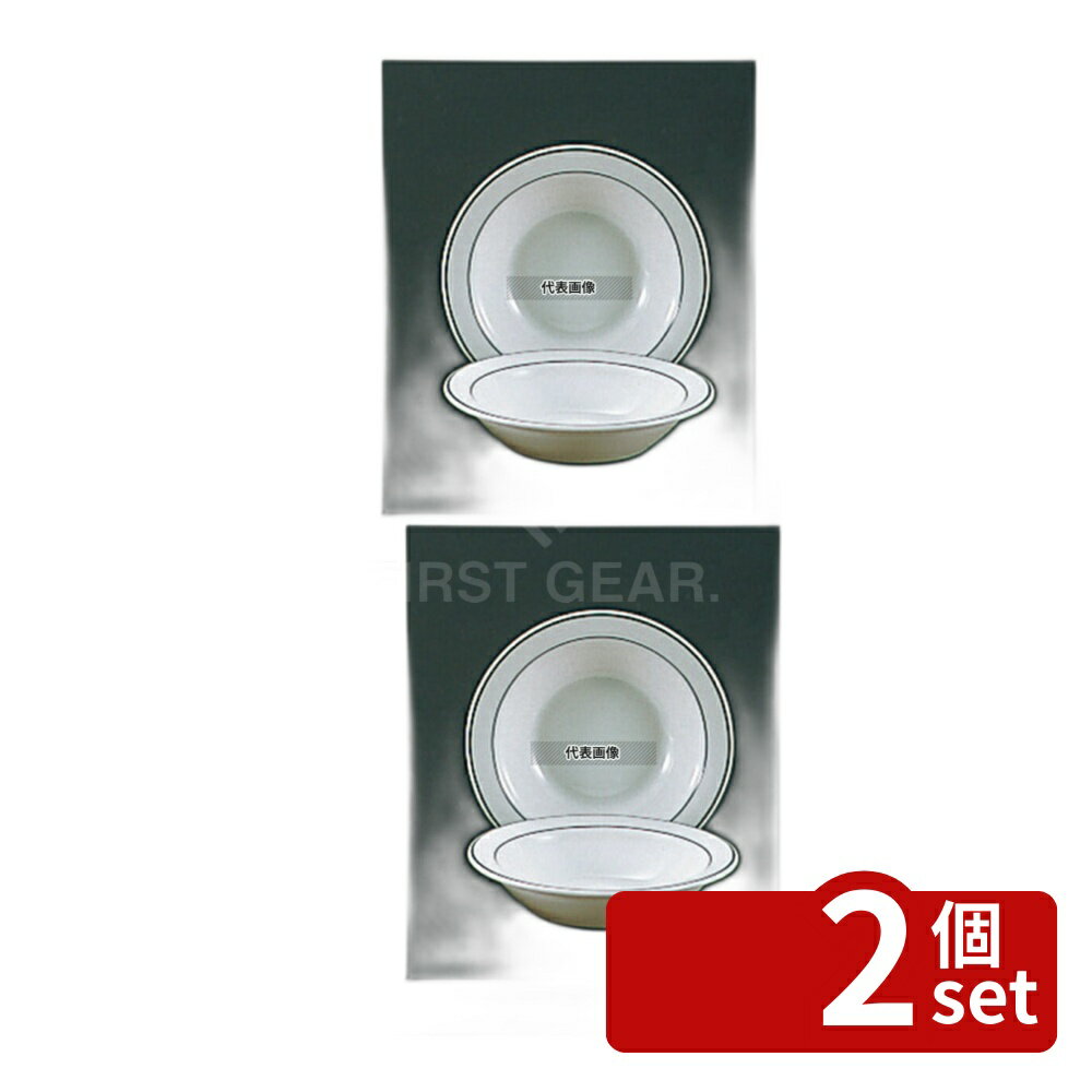 【2個セット】ガストロノミー シリアルボール 47235 小 φ120×H26 ボウル No.7364900