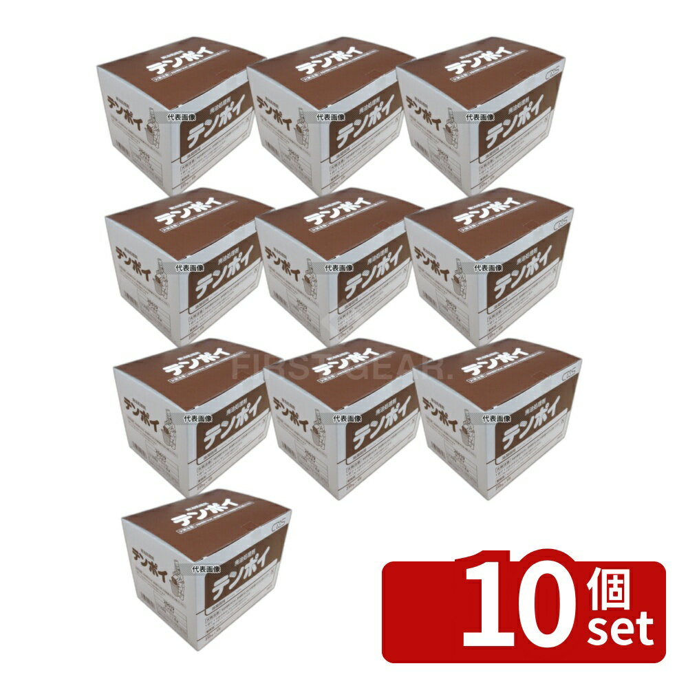 【10個セット】シーバイエス 油固化剤 テンポイ (250g×4袋入) 固化剤 No.7387500
