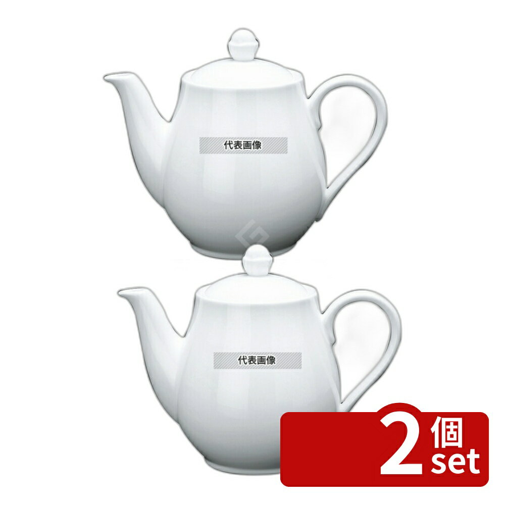 【2個セット】ファッションホワイト ティーポット FM900-820 700cc 185×111×H145 和/洋/中 食器 No.7538480