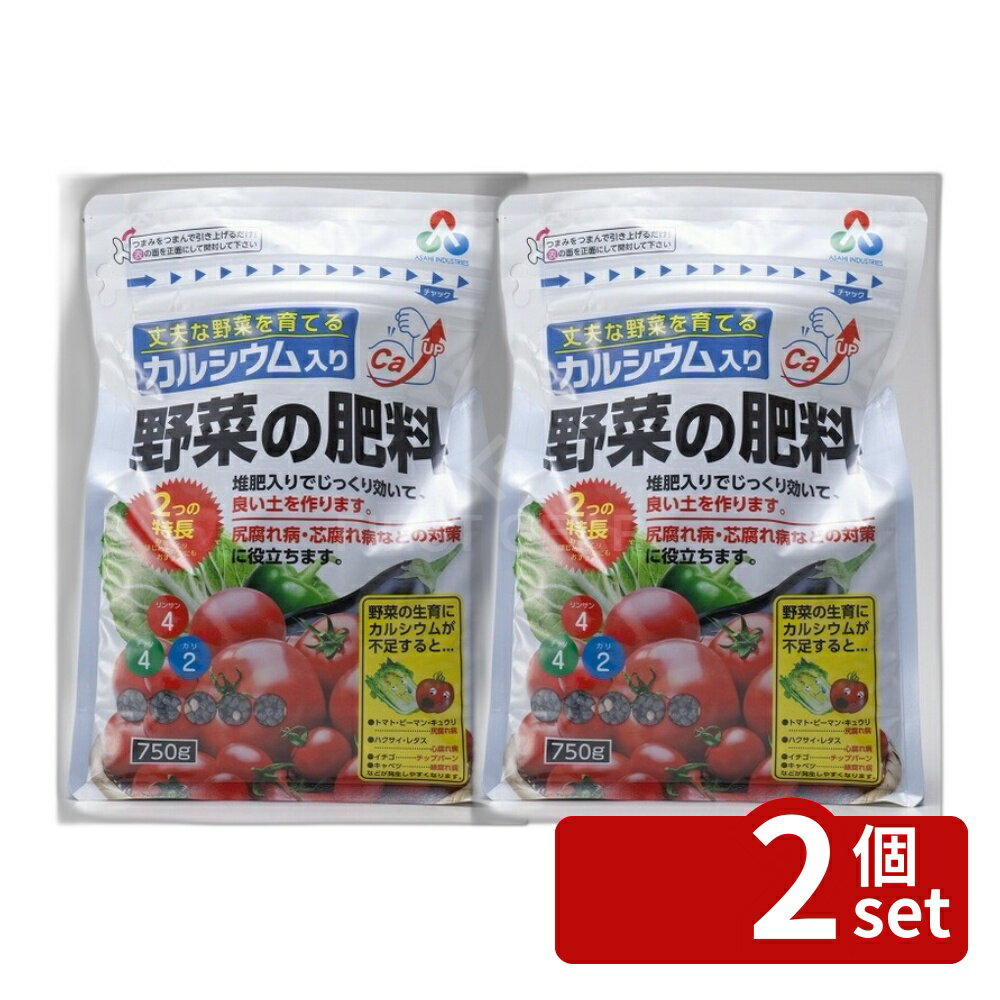 Other - 【2個セット】朝日アグリア カルシウム入り野菜の肥料 750g