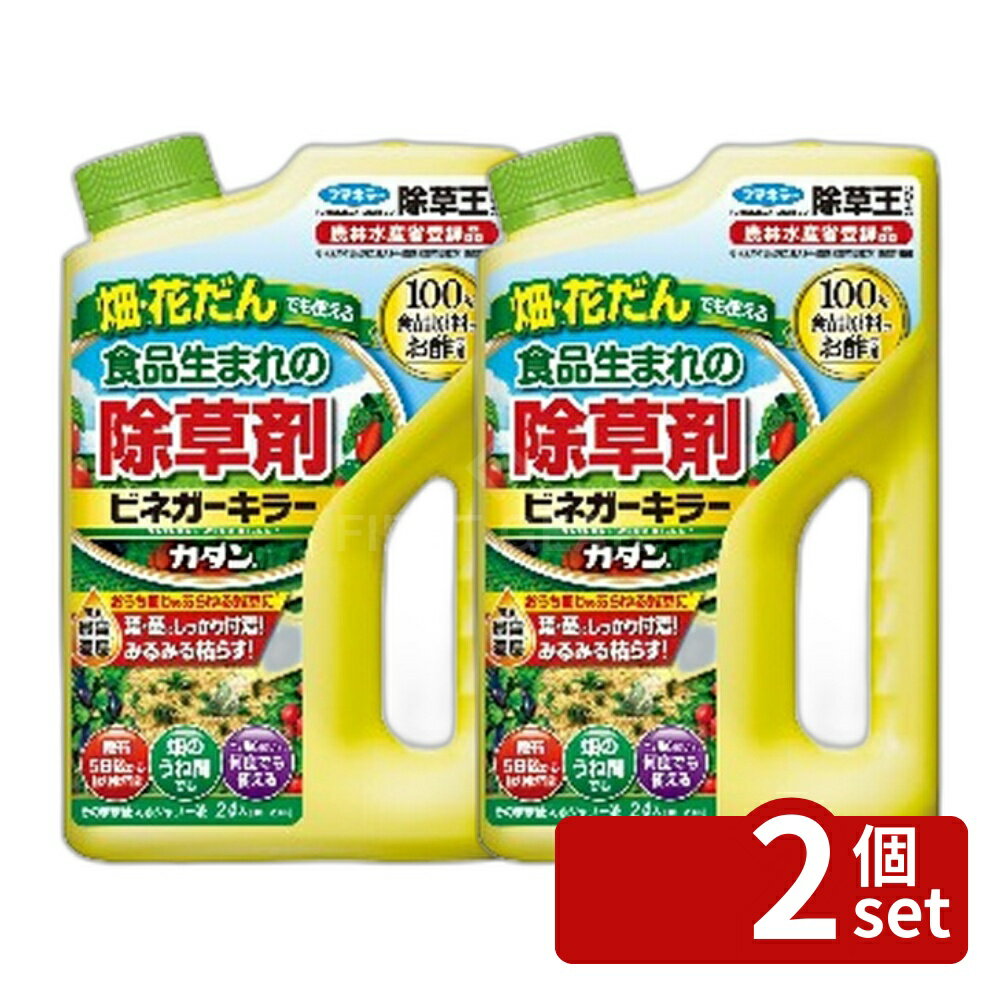 【2個セット】フマキラー カダン 除草王 ビネガーキラー2L [4902424450033]