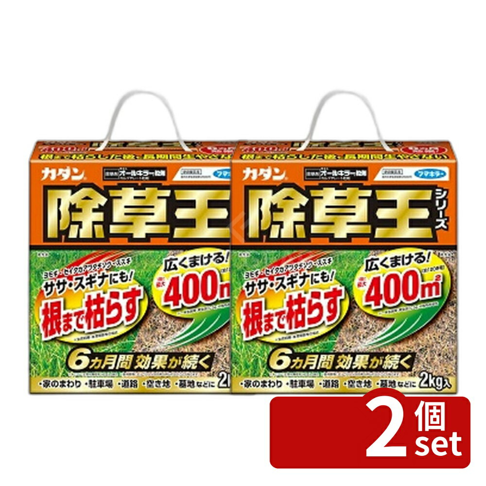 【2個セット】フマキラー カダン 除草王 オールキラー粒剤 2kg [4902424450095]