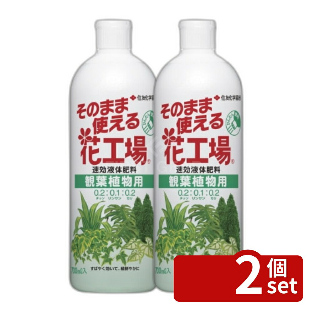 商品の特徴 住友化学園芸 そのまま花工場 観葉植物用700ml 肥料 液体 植物生育促進 希釈不要 ●うすめずそのまま使える、かんたん便利な、すばやい効きめの液体肥料です 葉色の鮮やかさを楽しむ、ポトス、ドラセナ、ベンジャミン等の観葉植物におすすめです 製品仕様 ●内容量：700ml JANコード：4975292602590