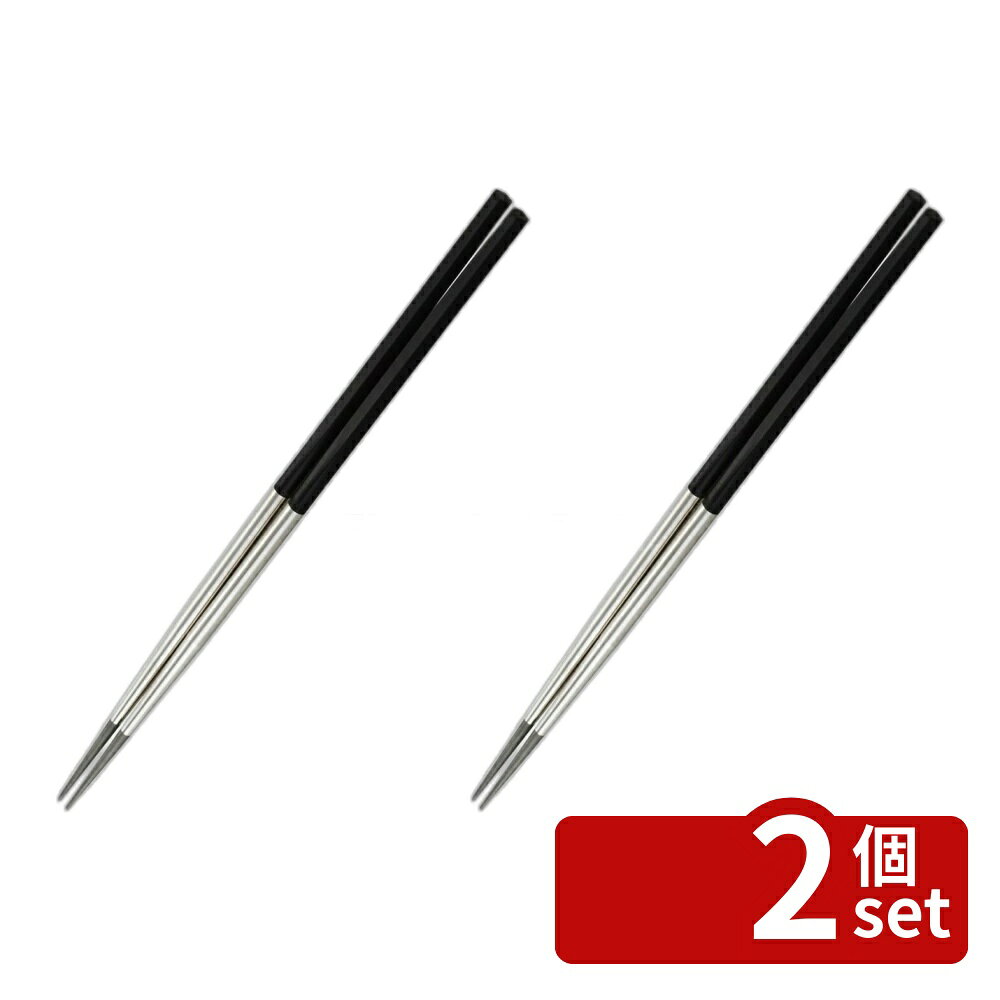 ＼レビュー特典有／【2個セット】セレクト100 ステンレス菜箸33 DH3104 | ステンレス菜箸 菜箸 菜ばし ステンレス 調理器具 台所用品 キッチン用品 ブラック 33cm 貝印 SELECT100 軽量 菜ばしモダン 六角ハンドル 滑りにくい 耐久性 転がらない first23-19774543 セミプロDIY店ファースト パッケージ画像