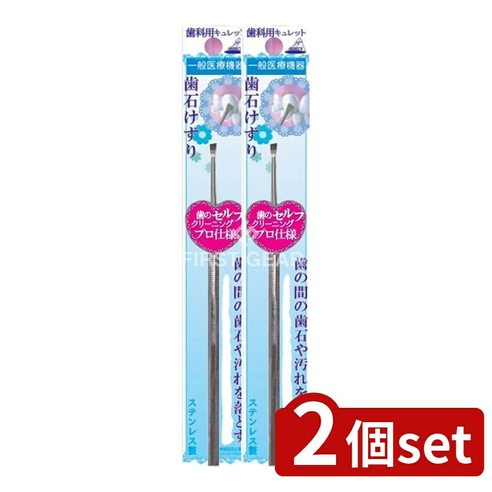 ＼レビュー特典有／【2個セット】 アヌシ 歯石けずり OL-010 [単品内容量/1本] | 歯石けずり アヌシ OL-010 医療機器 歯科用 歯石除去 ステンレス 歯の汚れ 歯科 歯磨き 口腔ケア 口腔衛生 歯の手入れ デンタルケア 歯科用品 歯の掃除 歯科医療