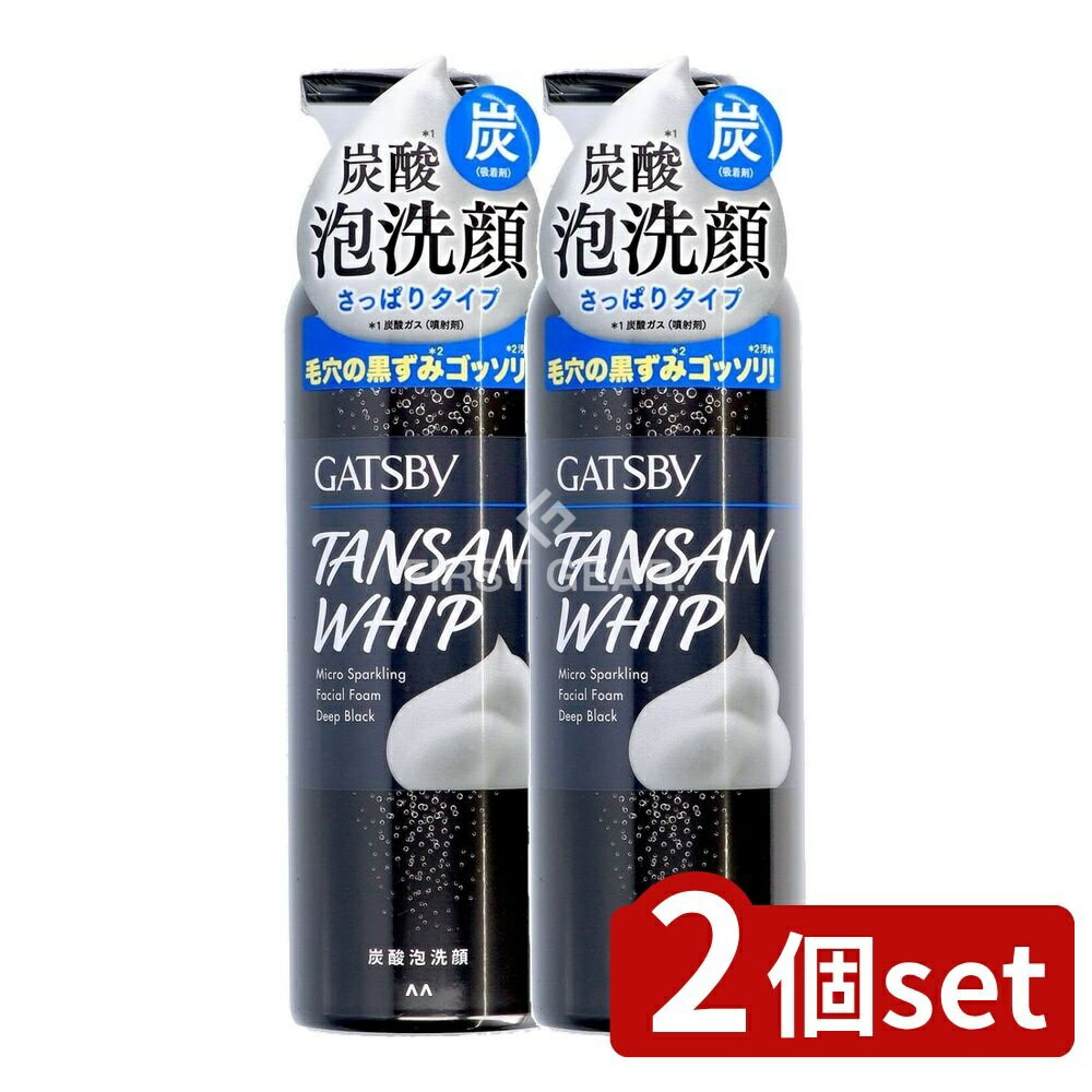 【2個セット】 マンダム ギャツビー マイクロスパークリング泡洗顔 ディープブラック [単品内容量/200g..