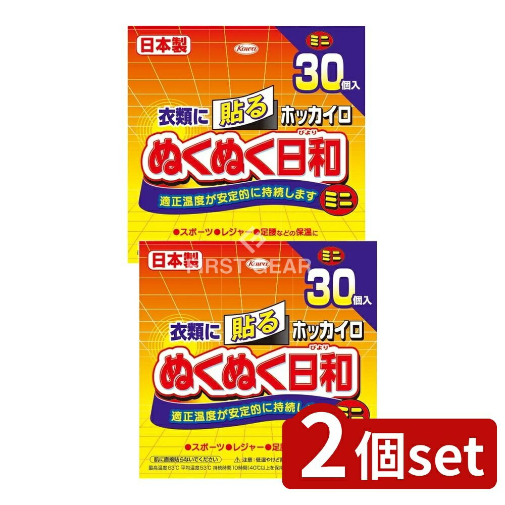 【2個セット】 興和 ホッカイロ ぬくぬく日和 貼るミニ [単品内容量/30個] | ホッカイロ カイロ 使い捨..
