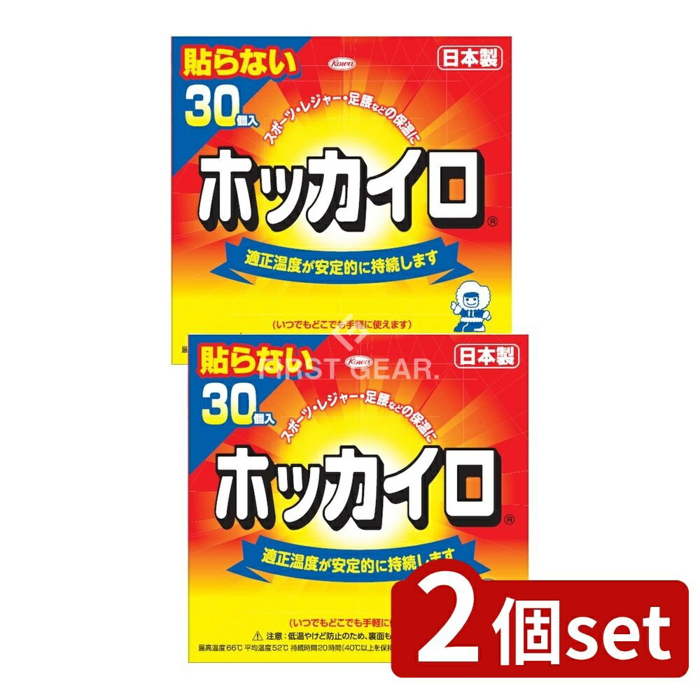 【2個セット】 興和 ホッカイロ 貼らないレギュラー [単品内容量/30個] | カイロ ホッカイロ 使い捨て レギュラー 貼らない あたたかい お湯カイロ 軽量 持続時間 ヤシガラ活性炭 防寒グッズ 温熱グッズ 秋冬アイテム ホッカイロ新ぬくぬく