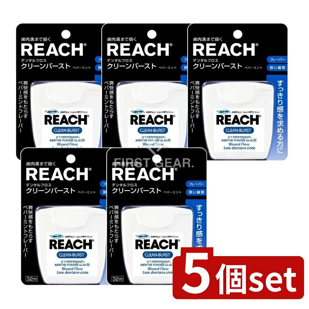 【5個セット】 銀座ステファニー化粧品 リーチデンタルフロスクリーンバーストPMT32m [単品内容量/32m]..