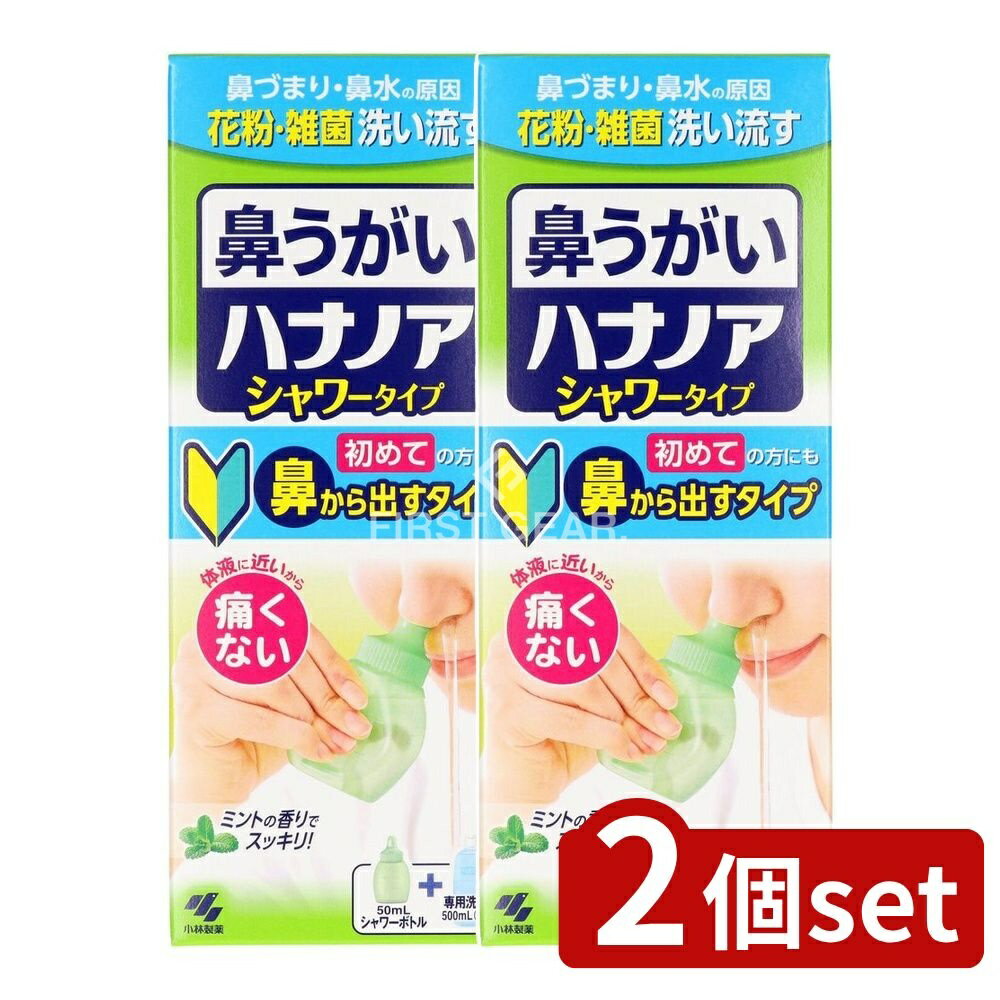 【2個セット】 小林製薬 ハナノアシャワー [単品内容量/500ml] | ハナノア 鼻うがい シャワー 鼻洗浄 医療機器 鼻うがいシャワー 鼻うがいスプレー ミント洗浄 鼻スプレー 健康管理 清涼感 ケア用品 使用方法 シンプル操作 簡単鼻洗浄