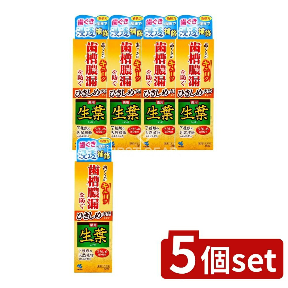 ＼レビュー特典有／【5個セット】 小林製薬 ひきしめ生葉 [単品内容量/100g] | ひきしめ生葉 歯磨き 和漢ハーブ 医薬部外品 植物成分 ヒノキチオール 日本製 小林製薬 ハミガキ粉 自然派歯磨き フッ素配合 歯磨き製品 オーラルケア シラカバエキス
