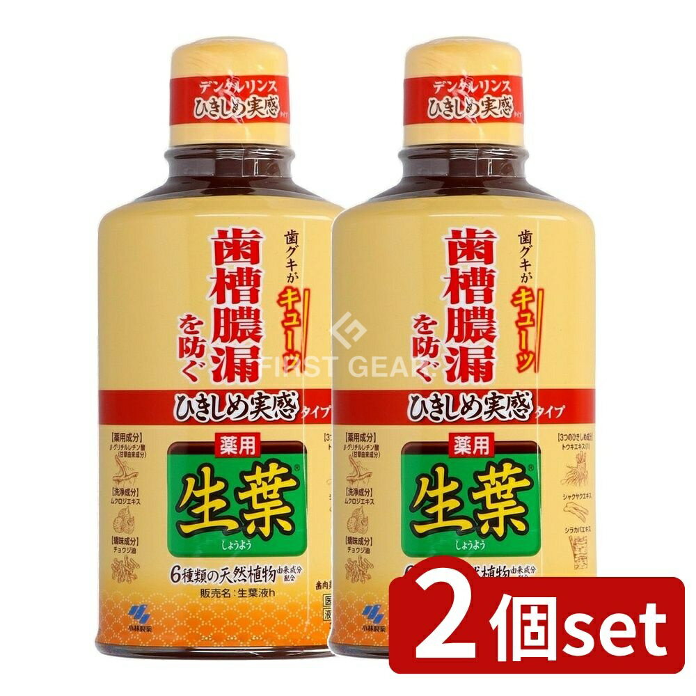 ＼レビュー特典有／【2個セット】 小林製薬 ひきしめ生葉液 [単品内容量/330ml] | 医薬部外品 液体歯磨き 歯磨きハーブミント 口中浄化 口中爽快 歯磨き用リンス 植物由来 口腔ケア 歯とお口のケア 歯磨き料 防腐剤 無着色 日本製 ジェル状 マウスウォッシュ