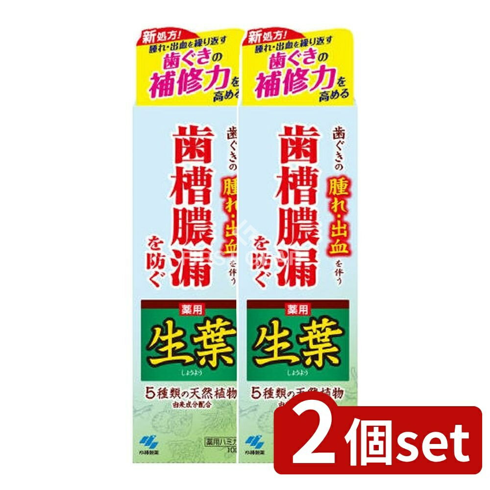 【2個セット】 小林製薬 薬用ハミガキ 生葉 [単品内容量/100g] | 薬用歯磨き 和漢ハーブ 生葉 ハミガキ..