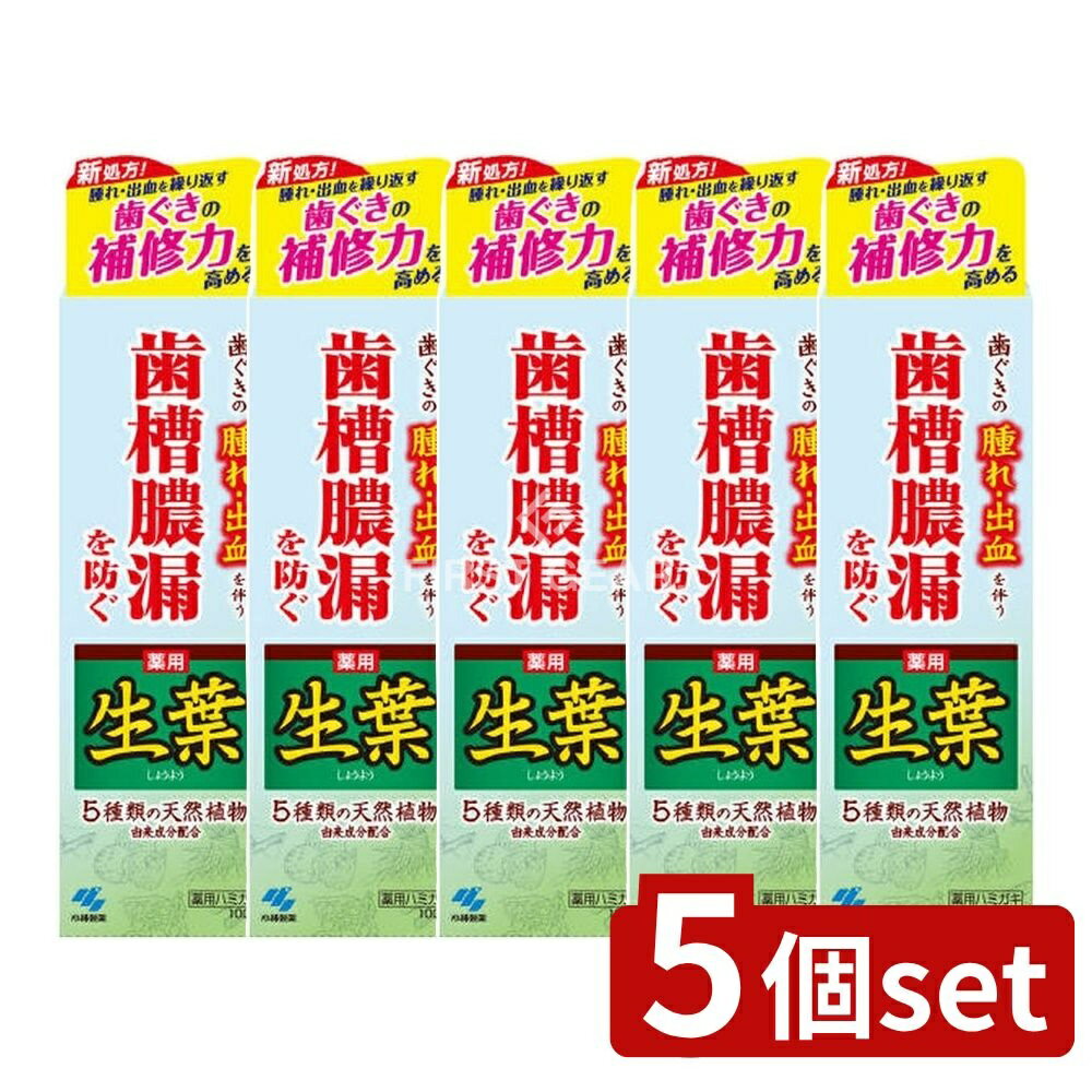 【5個セット】 小林製薬 薬用ハミガキ 生葉 [単品内容量/100g] | 薬用歯磨き 和漢ハーブ 生葉 ハミガキ..