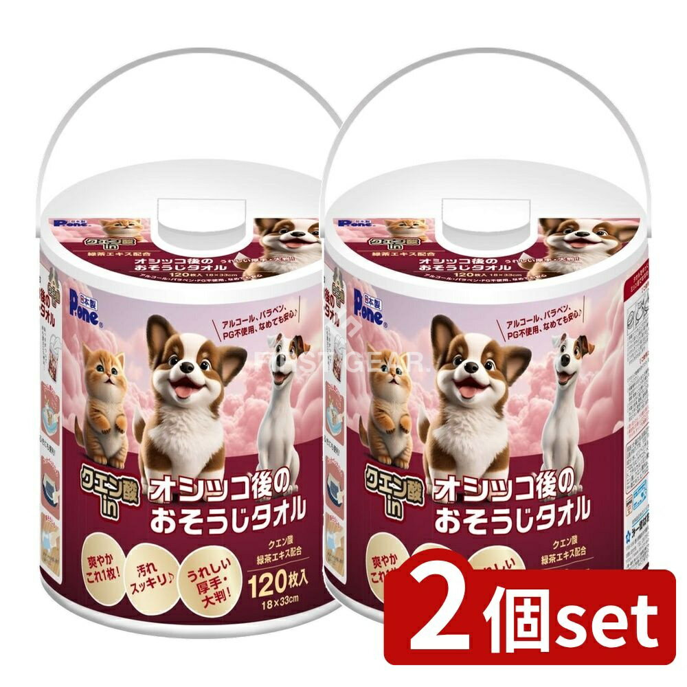 【2個セット】 第一衛材 クエン酸inオシッコ後のおそうじタオル 本体 [単品内容量/120枚] | クエン酸タ..