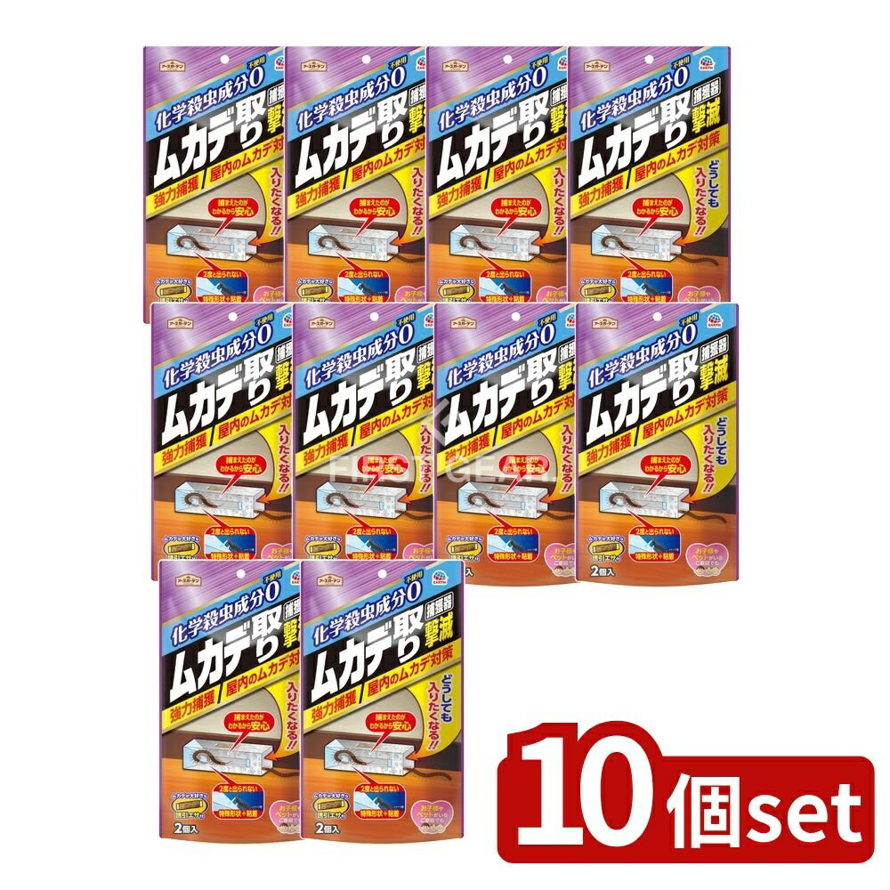 ＼レビュー特典有／【10個セット】 