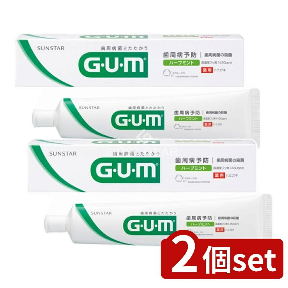 ＼レビュー特典有／【2個セット】 サンスター ガム デンタルペースト 箱 [単品内容量/155g] | ガム デ..