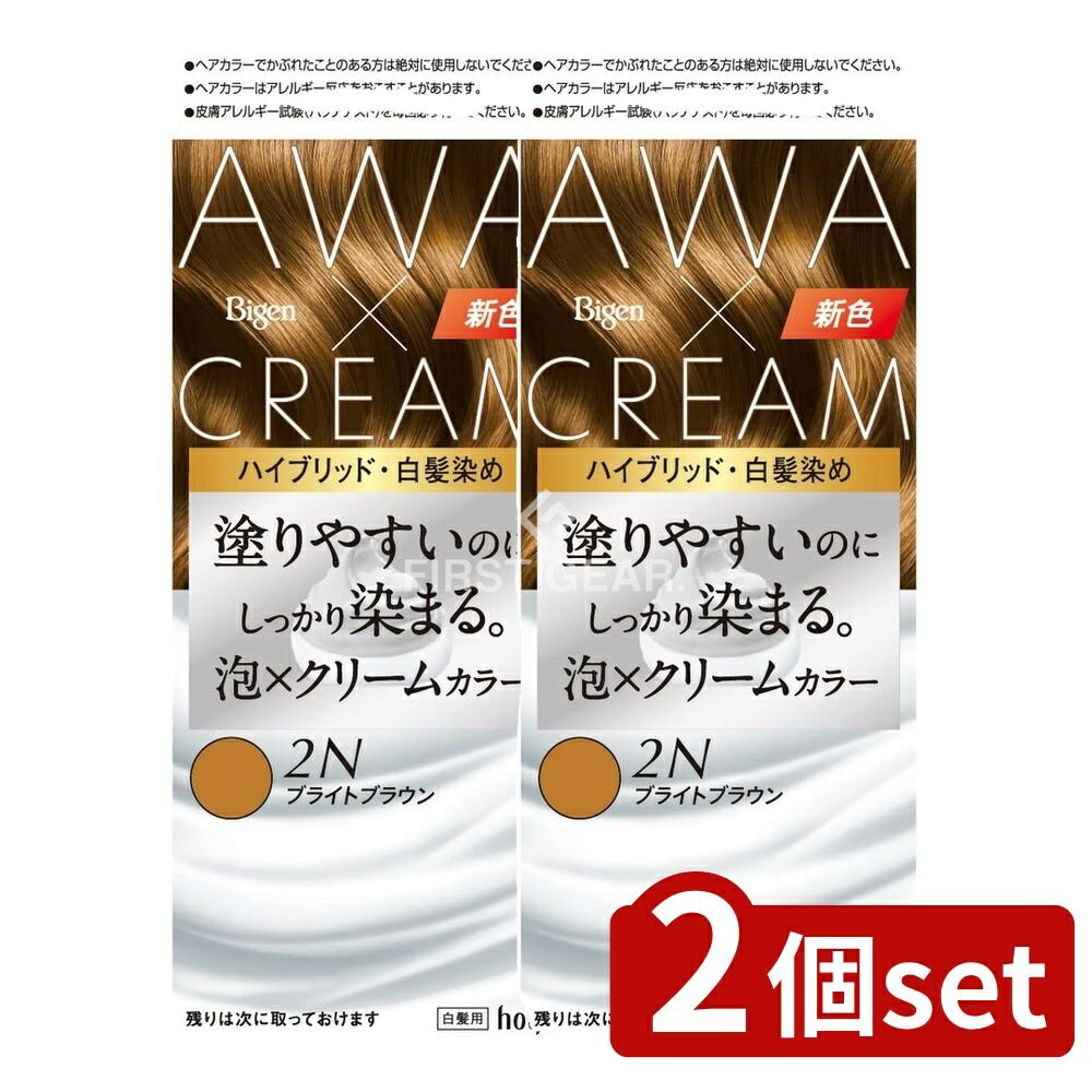 ＼レビュー特典有／【2個セット】 ホーユー ビゲン 泡クリームカラー 2N ブライトブラウン [単品内容量/207g] | ホーユー ビゲン 白髪染め 泡クリームカラー ブライトブラウン 美容 ヘアカラー ヘアケア 医薬部外品 新感触 アミノオルトクレゾール 髪染め