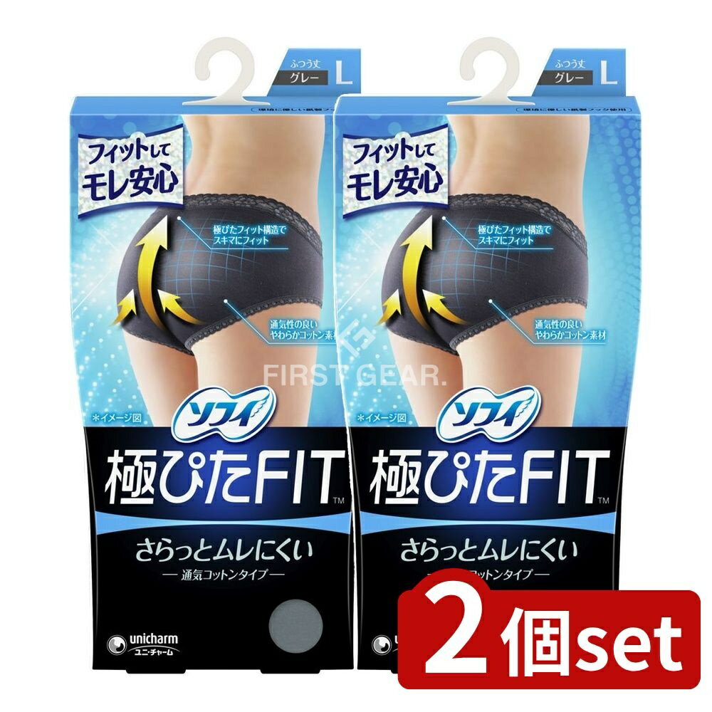 【2個セット】 ユニ・チャーム ソフィナチュラルフィットLブルーグレイ [単品内容量/1個] | ソフィ 生..
