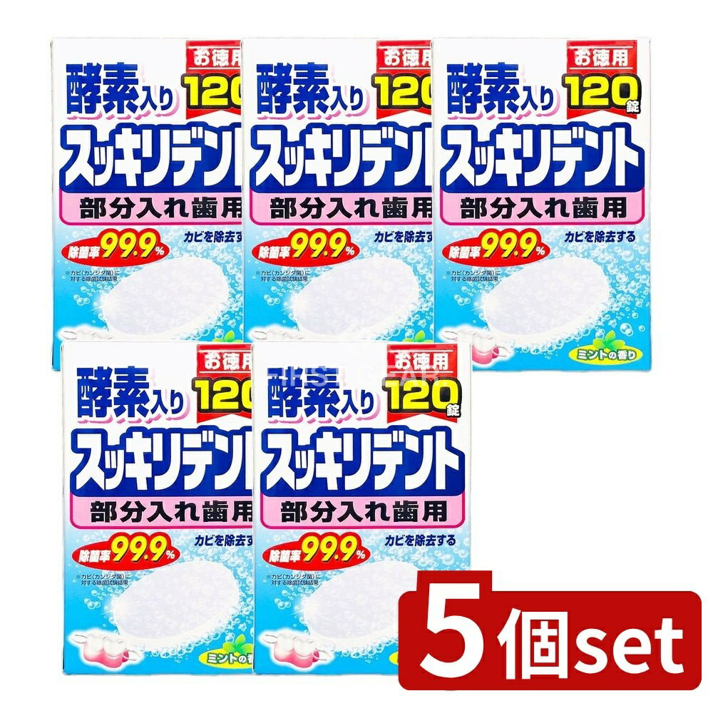 【5個セット】 ライオンケミカル スッキリデント部分入れ歯洗浄剤 [単品内容量/120個] | スッキリデント 入れ歯洗浄剤 日本製 部分入れ歯洗浄剤 洗浄剤 スッキリデント洗浄剤 ミント 香り 入れ歯 スッキリデント部分入れ歯 薄型洗浄剤 口腔ケア