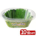 【10個セット】エムエーパッケージング アルミ レタスケース中判 | レタスケース 中判 おかず入れ お弁当用 アルミ レタスそっくりケース 三菱アルミニウム ...