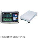 大和製衡(ヤマト) DP-5609A-300C 多機能デジタル台はかり(指示計:産廃計量タイプ 載台:中型 鉄製)