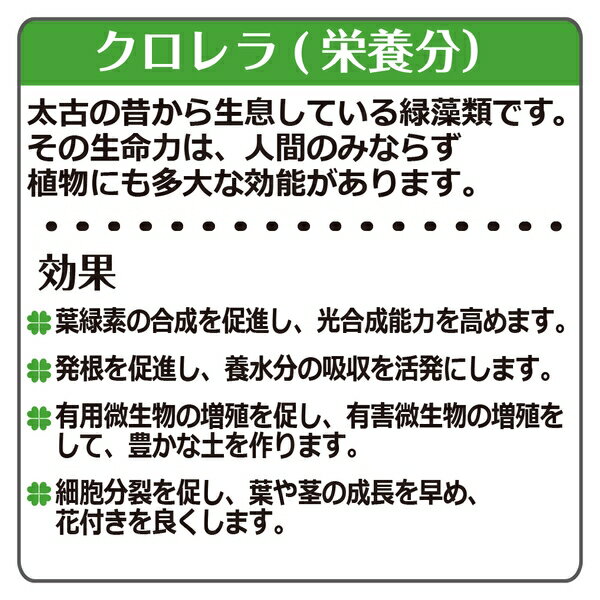 ��2�ĥ��åȡۥ�å����� �������ηä�R �Х���� 6L [4945680700788]