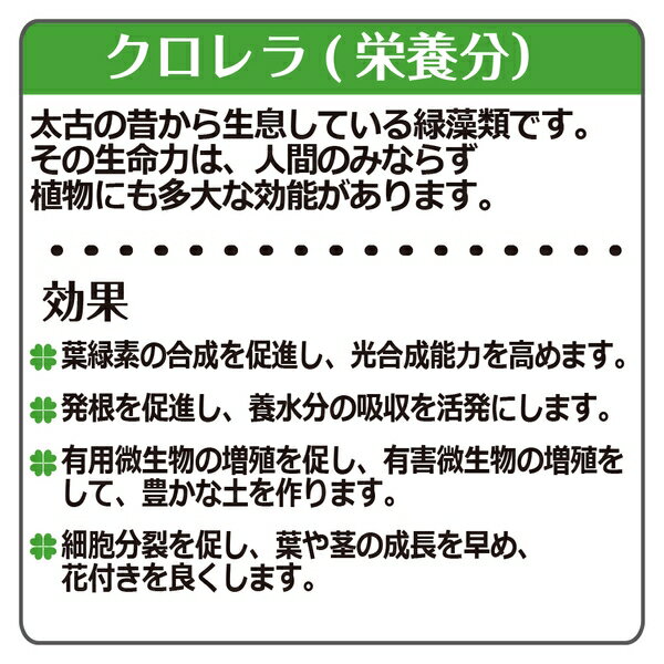 ��6�ĥ��åȡۥ�å����� �������ηä�R ���������� 7L [4945680700795]