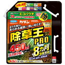 フマキラー カダン除草王シャワーS エコパウチ 4.5L