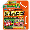 フマキラー カダン除草王ザッソージエース エコパウチ 4.5L