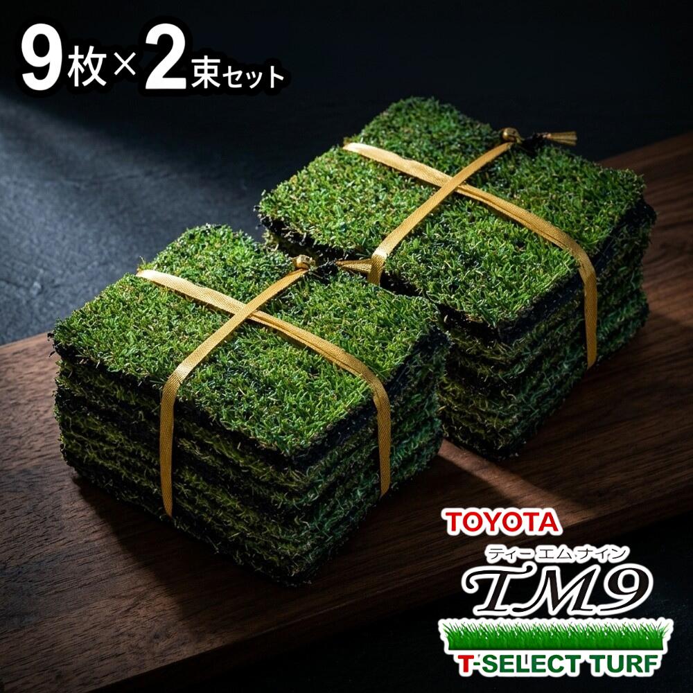 【2平米用 普通便】芝生 TM9 ティーエムナイン 2平米用 1ケース(2束)1束9枚入り 省管理型 トヨタ TOYOTA 天然芝 TM-9 張り芝用 暖地型 高麗芝 美景観 省管理 芝生 庭 ベランダ 芝生マット 屋上 バルコニー