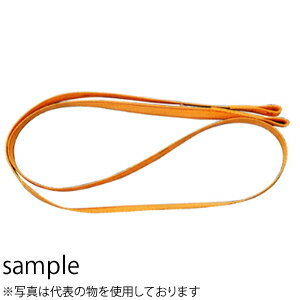 永木精機(NAGAKI)　巻ベルト　28-9　5型　最大使用張力：10kN(40×2×2000)