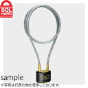 SOL HARD (ソールハード) No.3800 ワイヤーロック 30mm ワイヤー付南京錠 単品