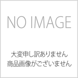 テラモト スモークダッシュ用 特殊活性炭フィルター(2枚入)BP-200DF SS-566-051-0[法人・事業所限定]