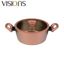VISIONS(ビジョン) CP-8810 GOLD Coating IH対応シチューポット24cm ゴールドカラー | IH対応 おしゃれ ヴィジョン ガス ...