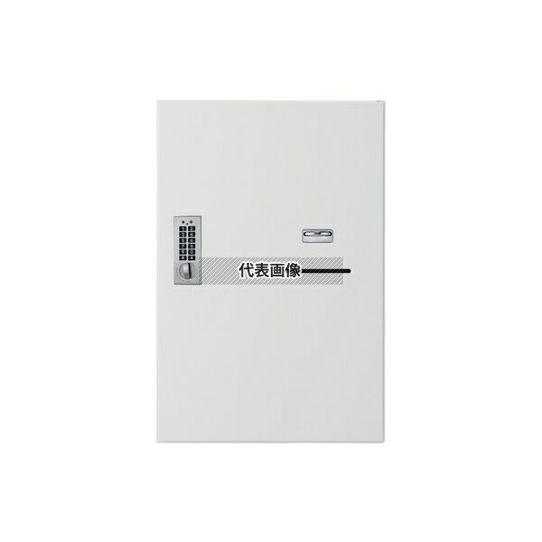 ���ɥۡ��९�ꥨ���� ͹�ؼ�Ȣ �ۥ磻�� ��������ۥܥå���(�ƥ󥭡���) 1���� ��ˡ:540��360��360mm SK-CBX-M01R-WC [ˡ�͸���]...