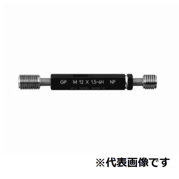 ¬ϼ ᡼ȥͥץ饰 GPNP6H6-1.0