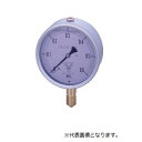 第一計器製作所 GRKグリセリン入連成計 G-AU3/8-75:1/-0.1MPA(4)