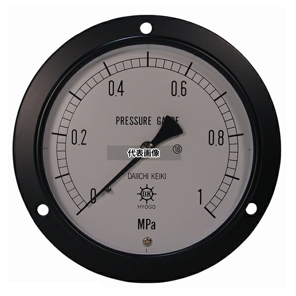 第一計器製作所 IPT一般圧力計 DUR3/8-150:30MPA