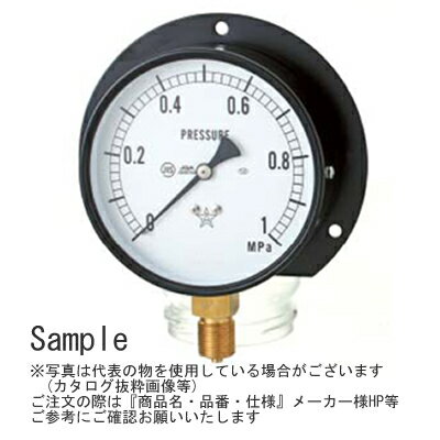 右下精器 汎用連成計 丸縁形(B型) BT3/8φ75 (-0.1〜0.1Mpa) [7380401]