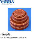 新光電子(VIBRA) M2DF-100G 円盤分銅 M2級(3級) 100g 鉄塗装製